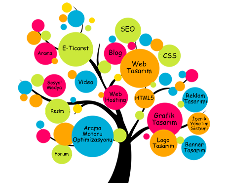 Sakarya Web Tasarım 